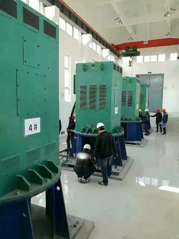 青松乡某污水处理厂使用我厂的立式高压电机安装现场